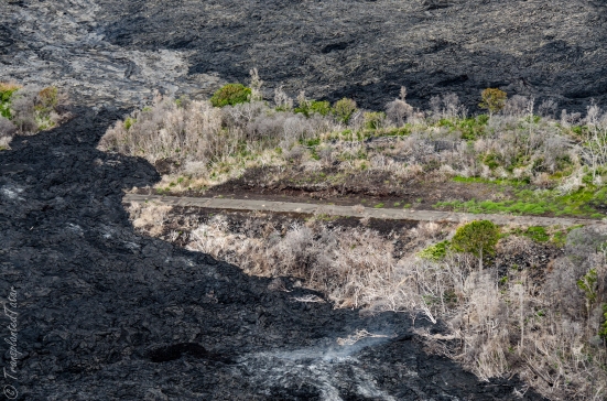Helicopter flight over a Burning trees, Kilauea Volcano, Hawaii