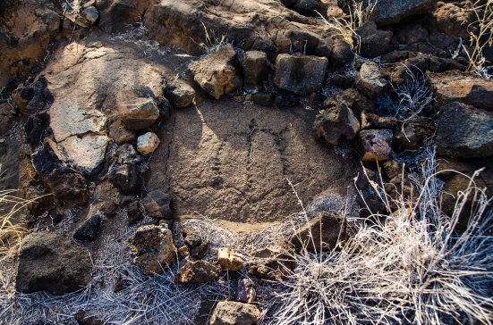 Turtle at the Puako Petroglyph Archaeological Preserve 
