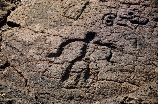 Carvings at the Puako Petroglyph Archaeological Preserve, Hawaii 