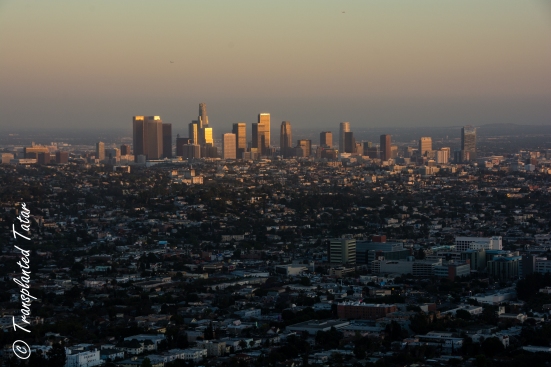 View of Los Angeles at sunset from Griffith Observatory 