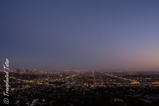 View of Los Angeles from Griffith Observatory