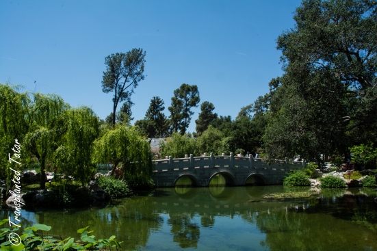 Bridge at The Garden of Flowing Fragrance, Huntington Library, Los Angeles