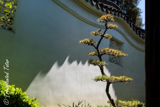 Chinese garden wall, Huntington Library, Los Angeles