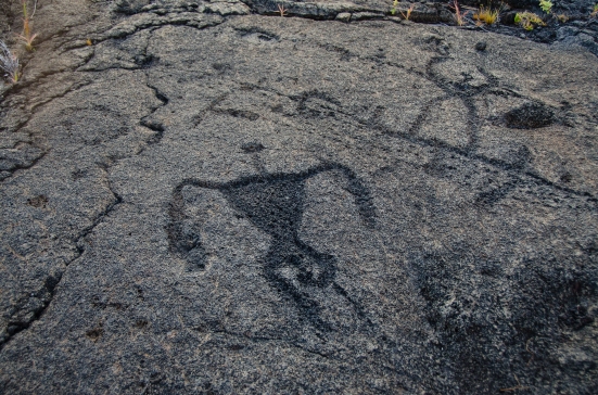 Carving of a human, Puu Loa Petroglyph Trail, Hawaii Volcanoes National Park 